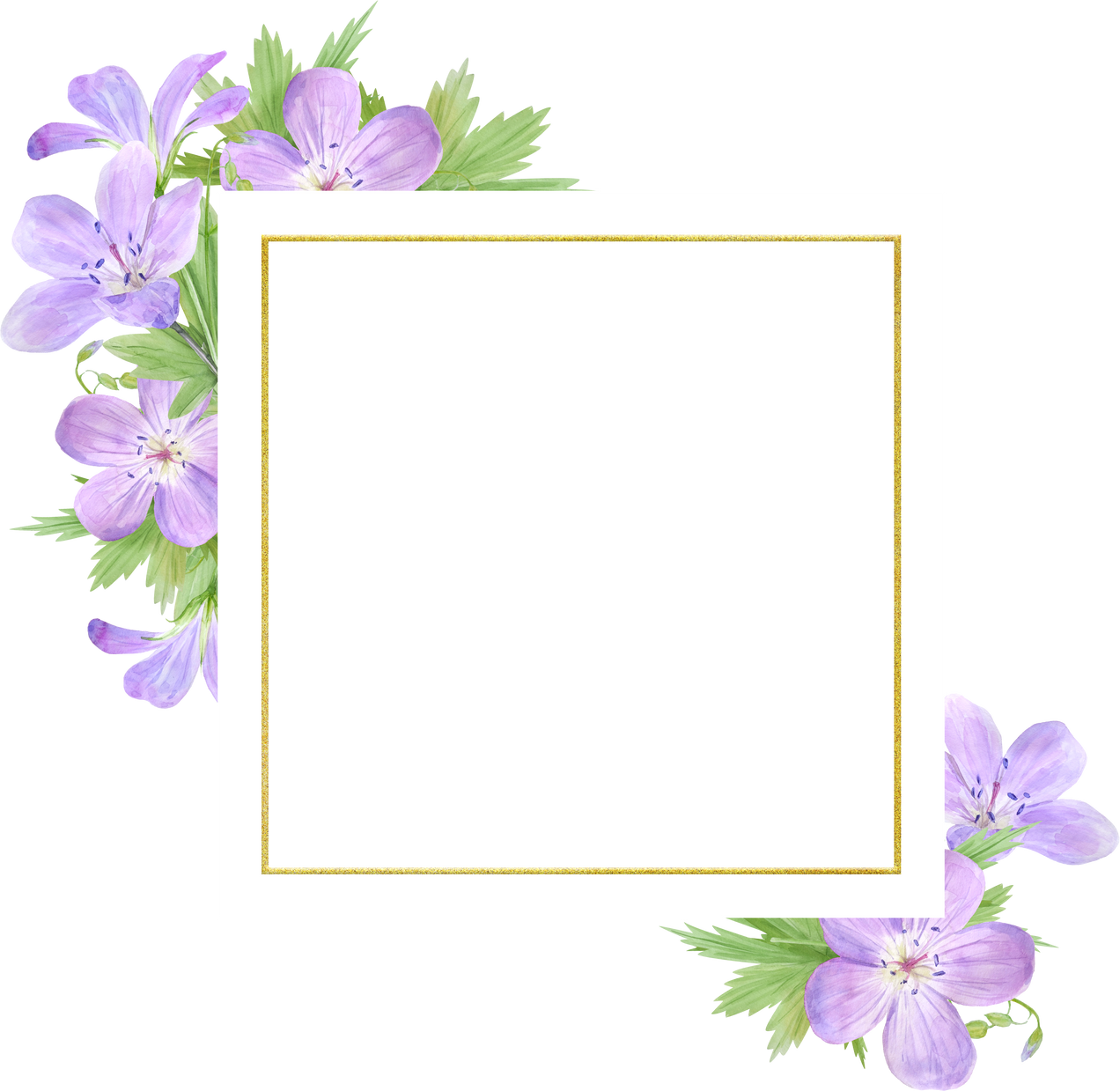 Frame of Lilac Watercolor Geranium Flowers